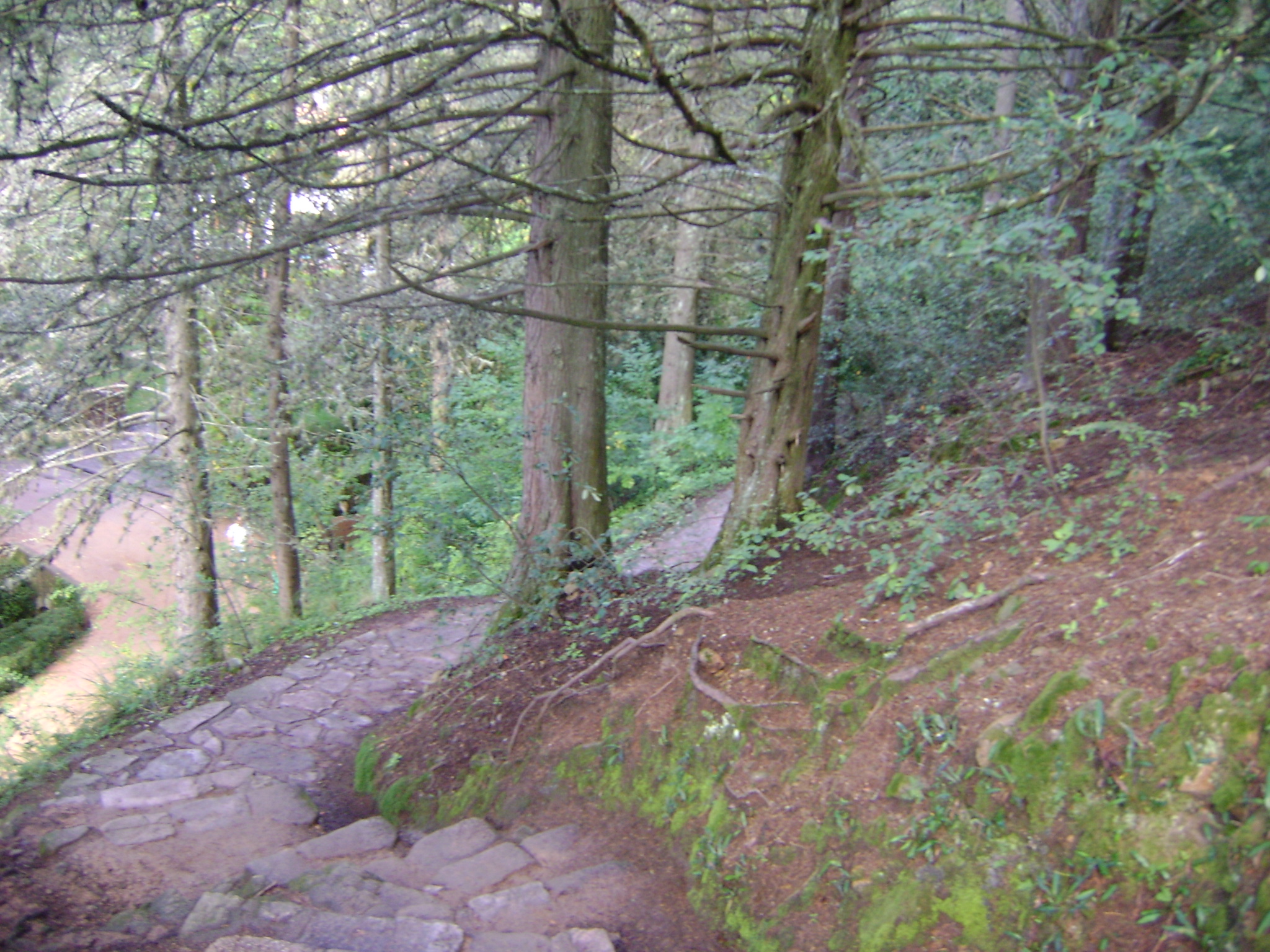 fotos/2011 - Los Reartes/DSC03366.JPG